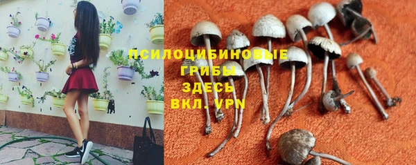 метадон Россошь