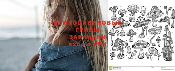альфа пвп Саяногорск