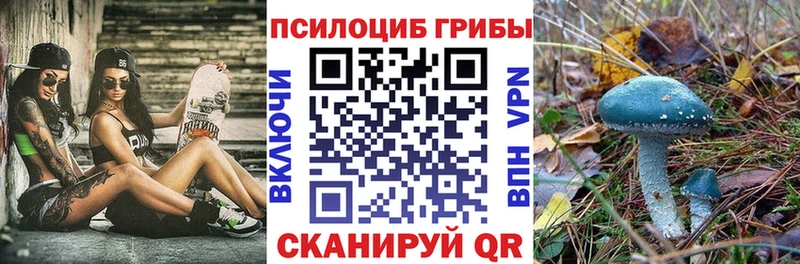 Купить где  Слюдянка  Псилоцибиновые грибы Psilocybe 